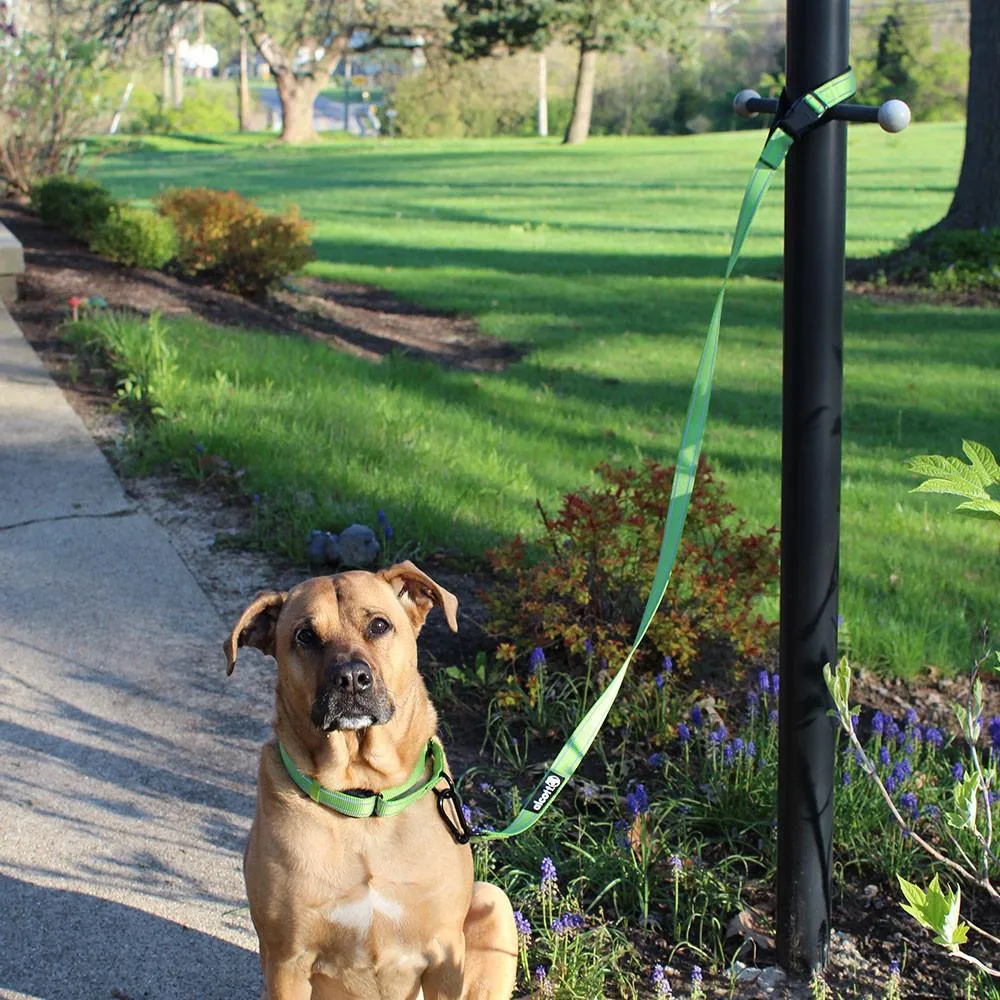 Alcott Weekender Adventure Leash with Tie-Out