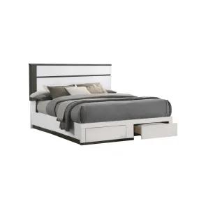 Allister Collection Platform Storage Bed