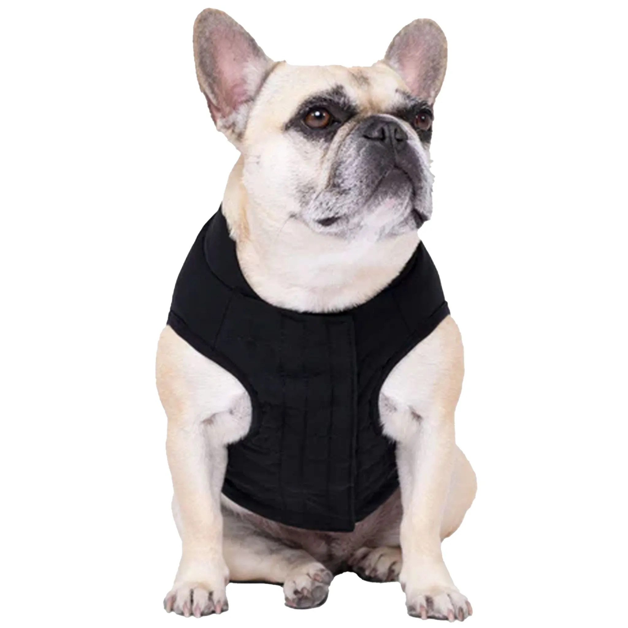 Canada Pooch Ultimate Stretch Vest - Black