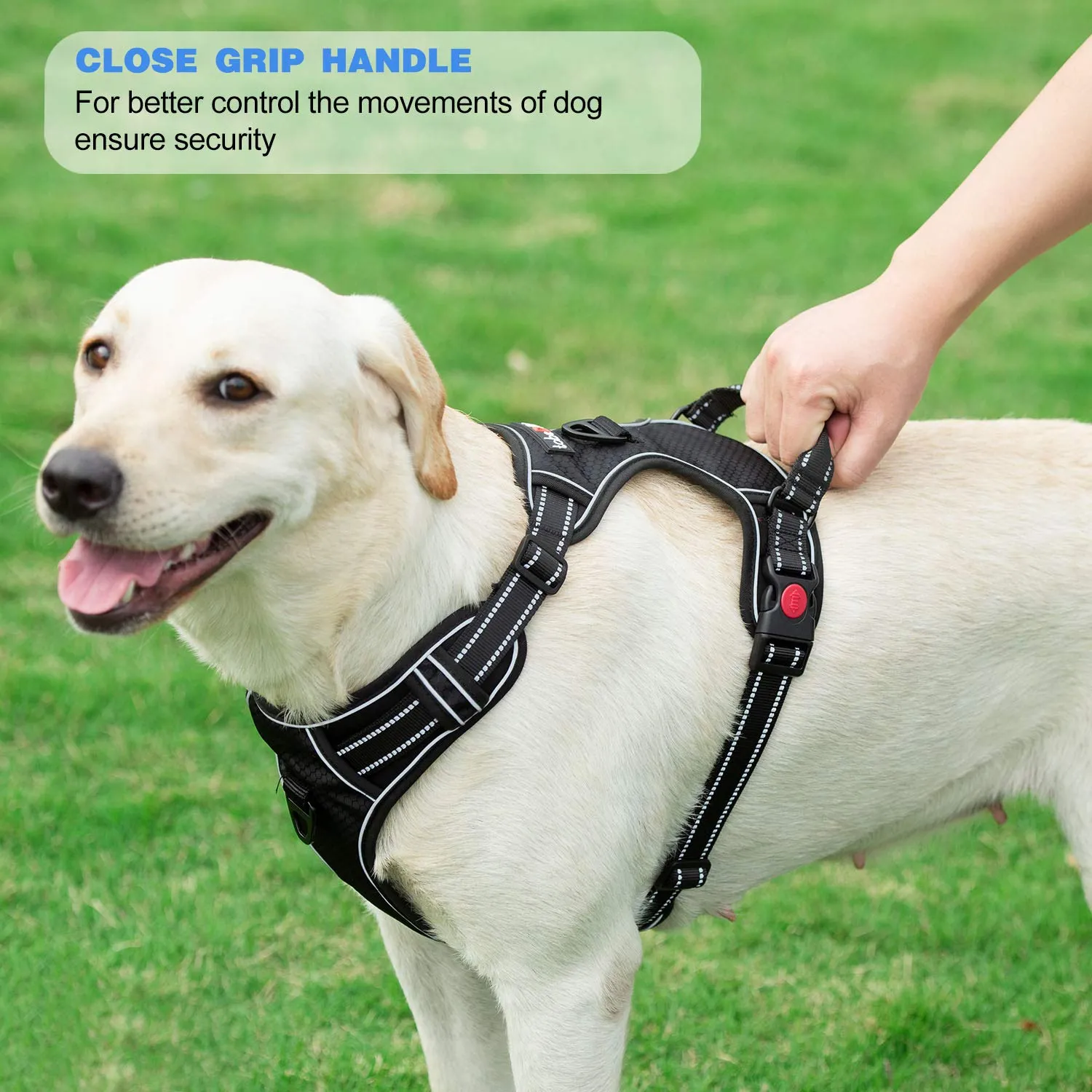 Dog Harness No Pull Reflective