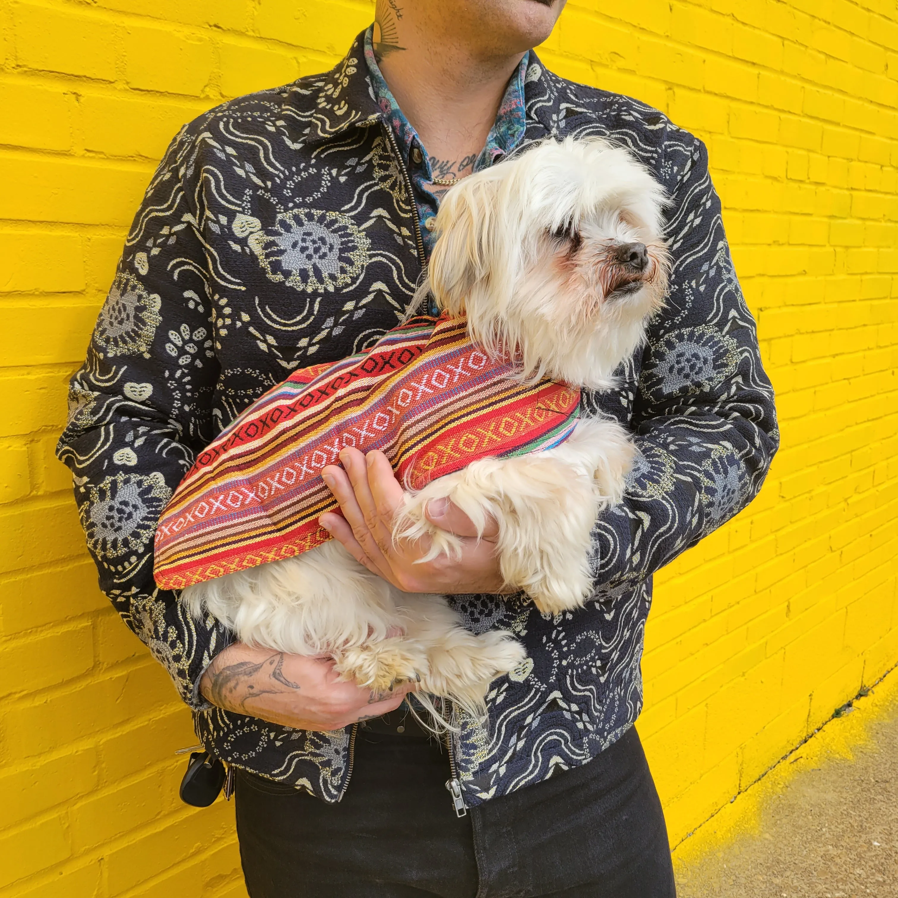 Dog Poncho - Salsa