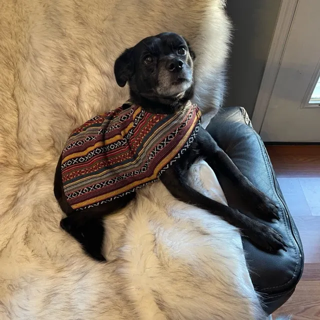 Dog Poncho - Sonora