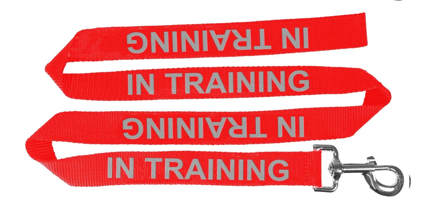 Dogline Reflective Nylon Service Dog Leash