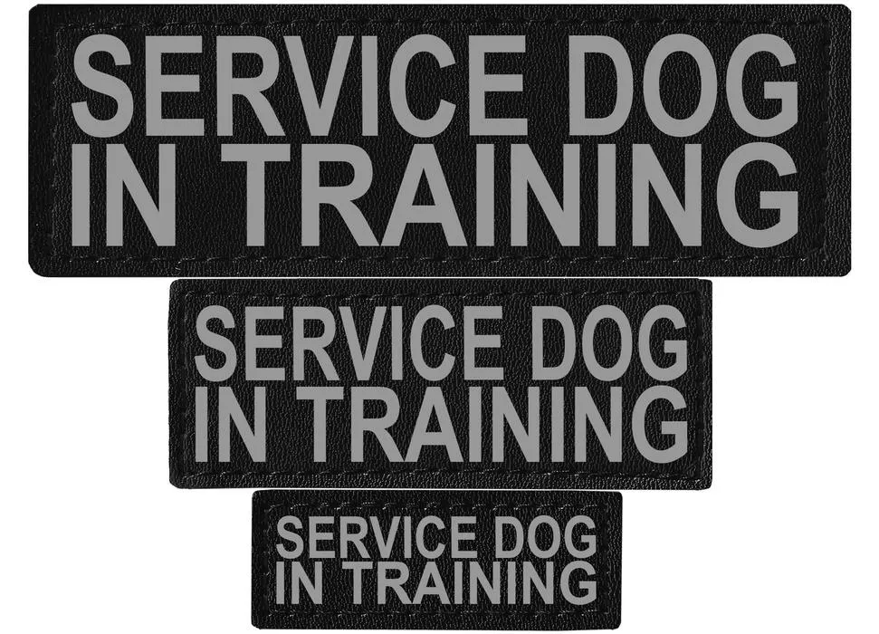 Dogline Reflective Service Dog Patch (Set of 2)