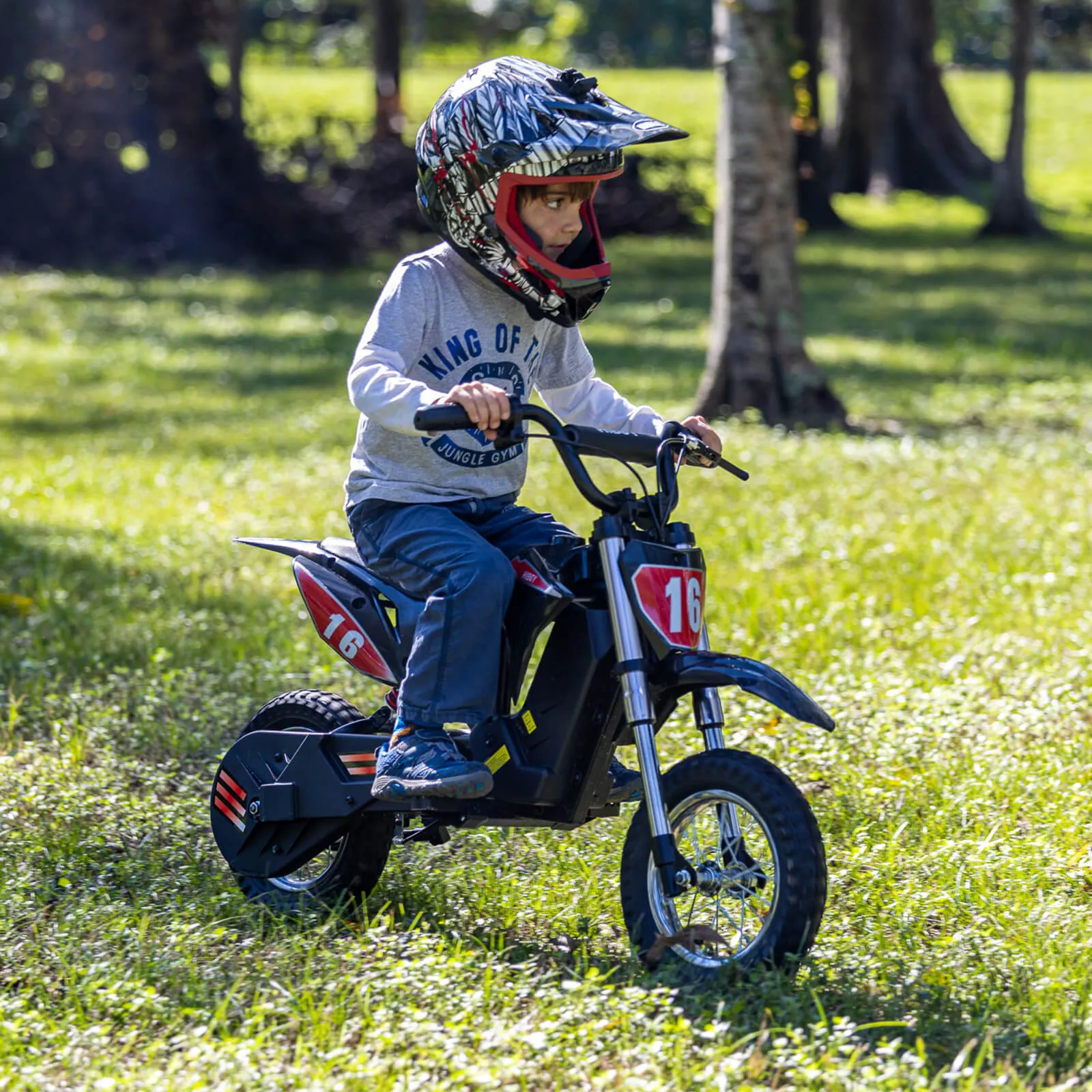 Hiboy DK1 36V/4Ah 300W Electric Dirt Bike For Kids