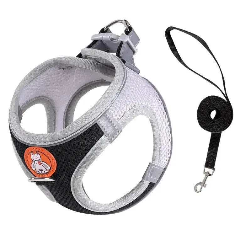 Reflective Nylon Pet Leash and Harness Set