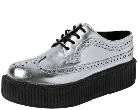 Silver Wingtip Creeper